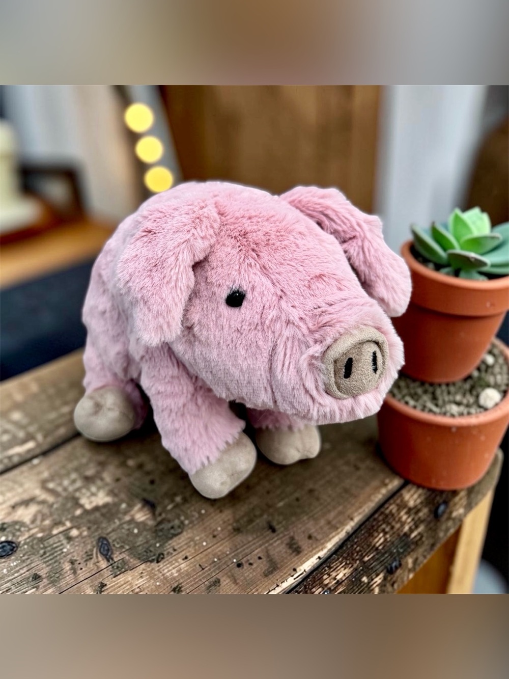 🐖𝐀𝐮𝐭𝐡𝐞𝐧𝐭𝐢𝐜 𝐉𝐞𝐥𝐥𝐲𝐜𝐚𝐭 𝐏𝐚𝐫𝐤𝐞𝐫 𝐏𝐢𝐠𝐥𝐞𝐭 - 𝐒𝐦𝐚𝐥𝐥🐖
